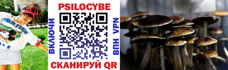 Галлюциногенные грибы MAGIC MUSHROOMS  Багратионовск 